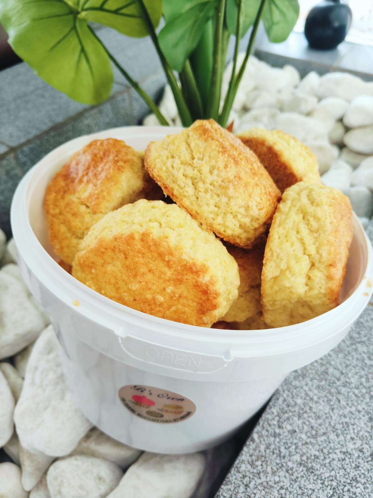 Scones — Plain