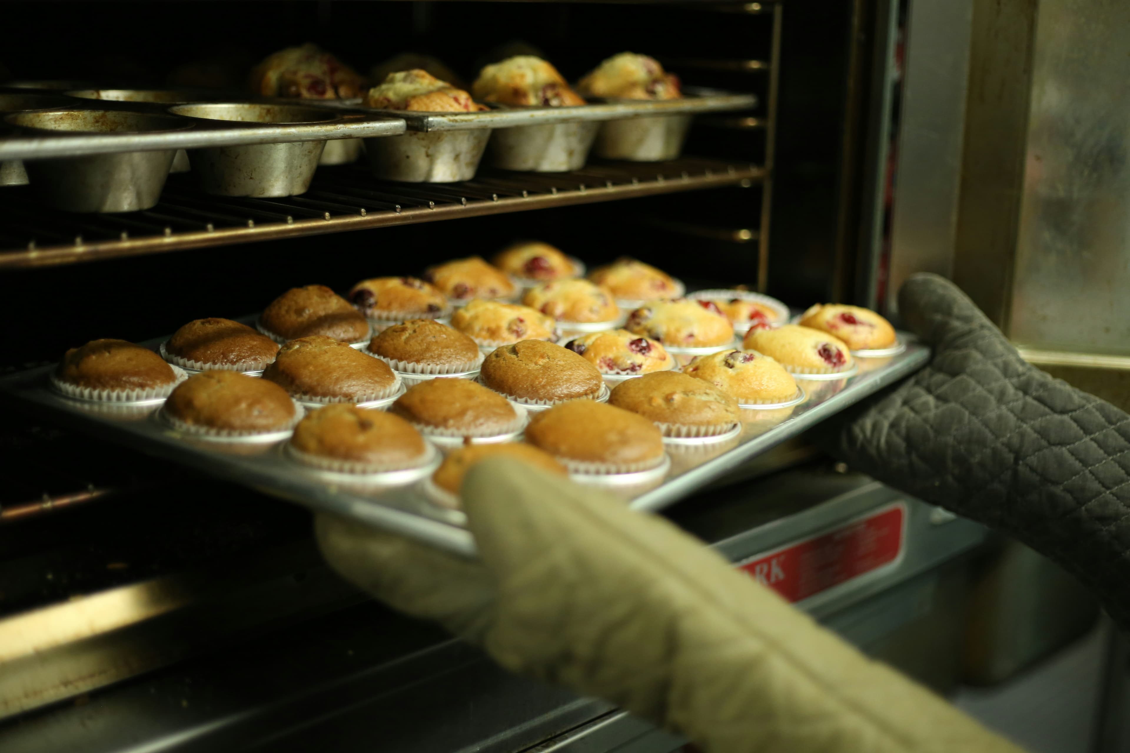Freshly baked muffin